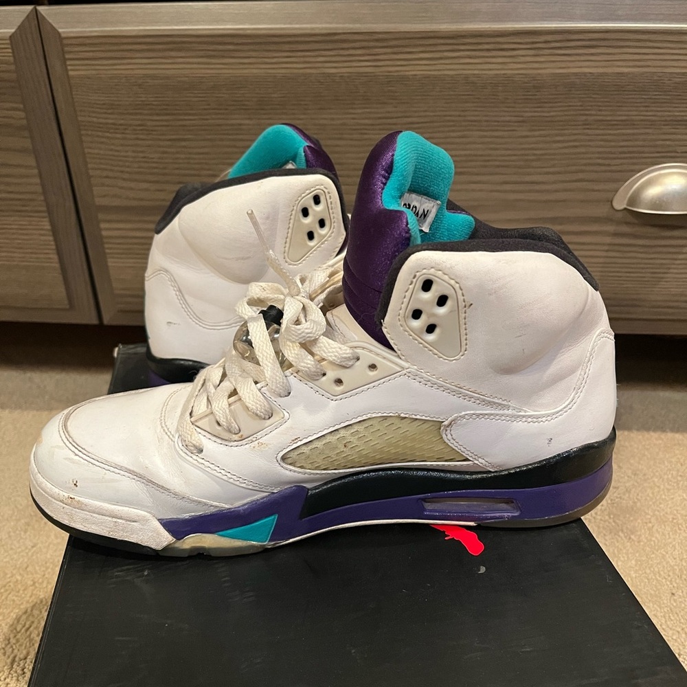 Jordan 5 Grape Shoes